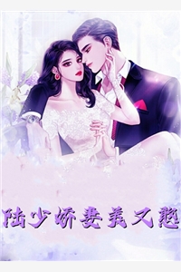 妙手小神医畅读全文
