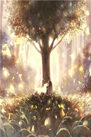 在深圳和厂花的那些岁月全文版