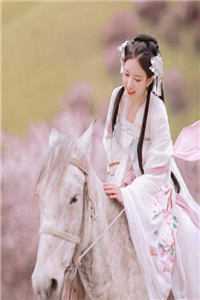 优秀文集穿越大明，我靠喷人变身圣上红人