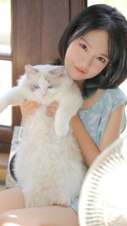 精品世子太凶猛：闯相府抢姑娘