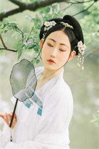 精品推介穿越古代成美人，靠生子宠冠后宫