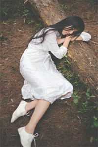 热门小说郎才女貌