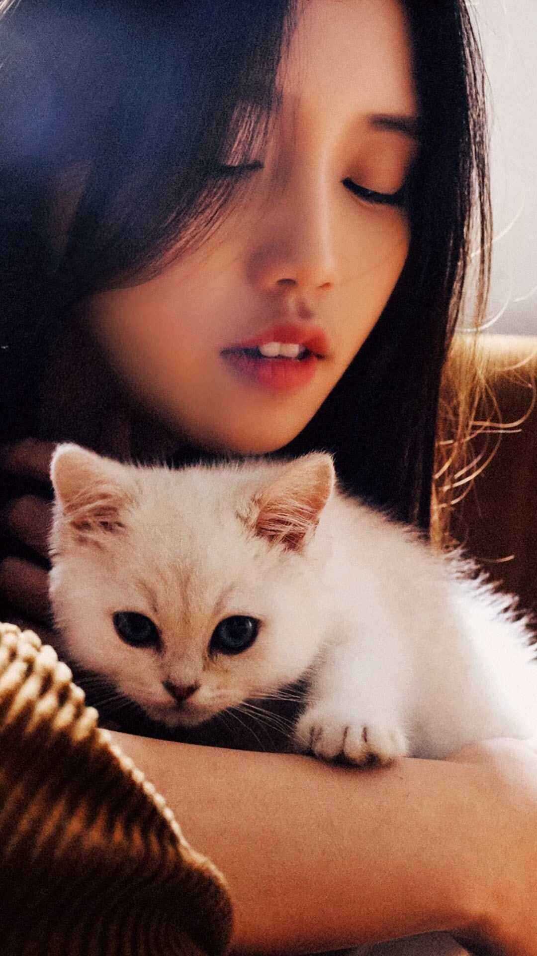 苏白顾晚柔
