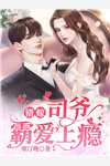 果果李子冀小说主角