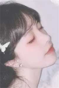 风水龙婿全章节