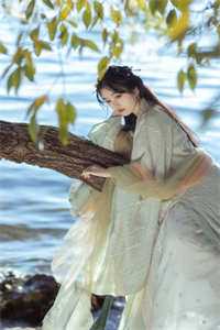 退婚后，豪门霸总追妻火葬场畅销巨作
