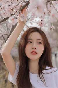 为妻女逆天改命：从团圆中秋夜开始文章精选阅读