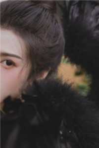 被害后，她从农门傻女开始翻盘完整作品阅读