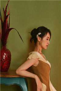 陆总，夫人说这婚迟早要离精选篇章