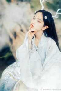 完美犯罪全集阅读