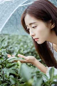 替嫁后，我成为旺夫团宠全章节