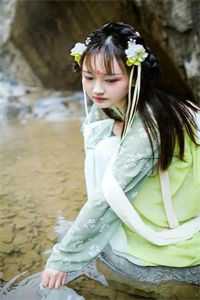 重生七零：上门女婿他崛起了全文阅读