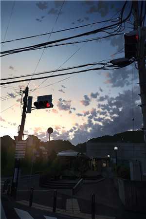 穿越：农学女博士的七零致富路精彩小说