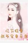 我家娘子，不对劲小说