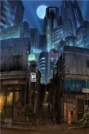 在线阅读夜场不说爱