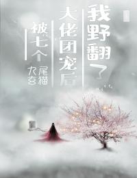 小说职场：高岭之花为她甘愿下神坛