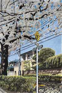 全章节青云天途