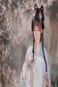 黄帝秘藏全集