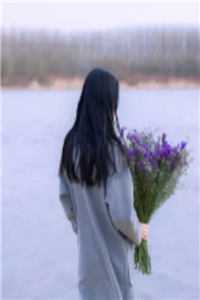 男人如铁全集阅读