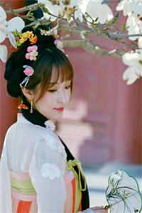 追什么女主？软饭不香吗完整版阅读