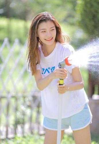 上门龙婿全文