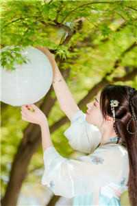 绝对权力：领导夫人的秘密全文
