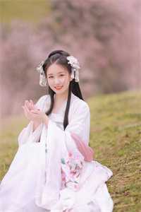 古玩捡漏从赘婿开始