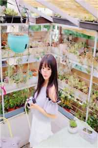 机娘世界
