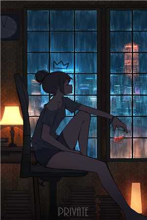 优质全文阅读新婚夜，我让王爷喜当爹