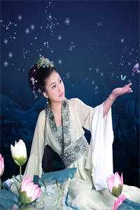 宝可梦：召唤玩家当小精灵
