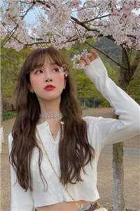手撕王爷小白莲后，王妃和离了全集小说推荐