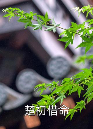 一睡成婚：娇妻又撩又飒在线阅读