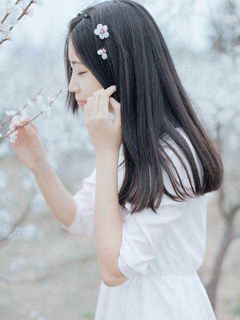 小说媚色诱宠：清贵权臣的掌心娇
