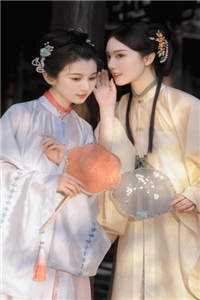 渣男宠妾灭妻？她二嫁太子楚宁苏映枫