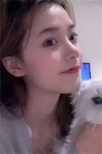 霸总别追了，夫人只想拿钱独美夏梓木陆景灏