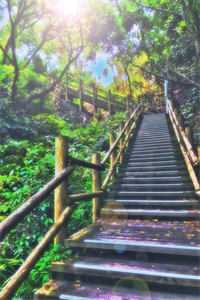 夏星周北宴拒当舔狗，夏小姐跟别人上热搜了小说