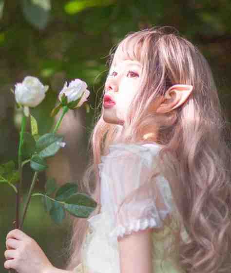 未婚夫爱上穿书女凌朝温愉