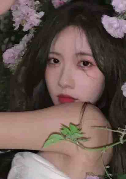 相伴帝君千年,我跳诛仙台嫁别人