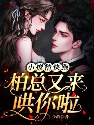 为奴三年后，整个侯府跪求我原谅乔念萧衡最新章节免费阅读