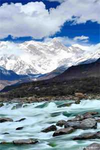 灵羽之巅:都市武耀传奇