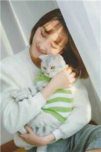 苏妍秦玉写的小说都市绝品神婿全文阅读