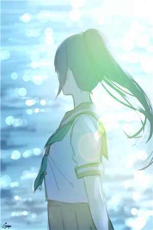 宠物判官