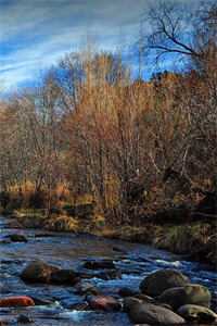 离婚后我逆光而行