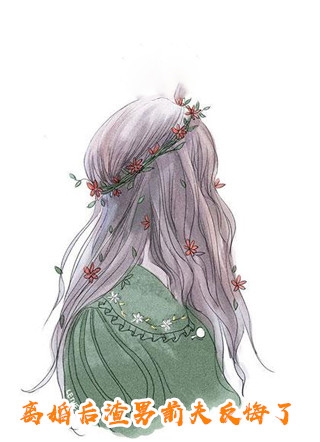 职场风云录：小女子智斗群魔