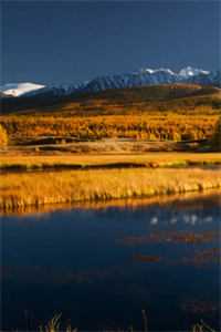 韩元苏小鱼的小说冰封末日,男友把我治愈技能换给青梅免费阅读