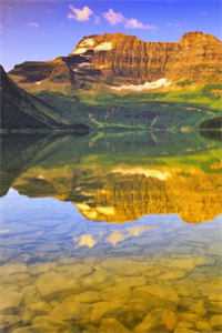 姐随军后,炮灰小姨子熬出了头吴月吴妮妮全文小说