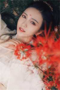 完结版小说官途风云by李福海宋观潮