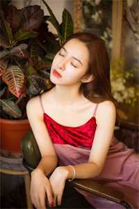 老婆想当女强人，离婚单干后她悔疯了小说全文免费阅读乔燕罗新成