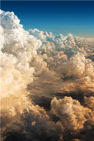 凤鸣东夏:流落太子的倾城妃