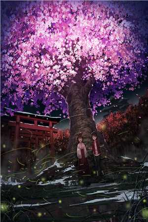 镜花水月终成空